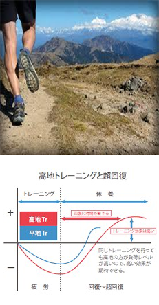 高地トレーニングの環境を再現イメージ画像